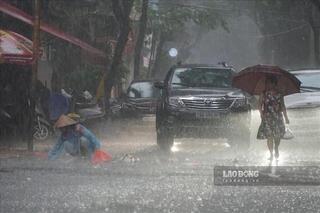 <a href="/trai-dat-xanh" title="Môi trường" rel="dofollow">Môi trường</a>