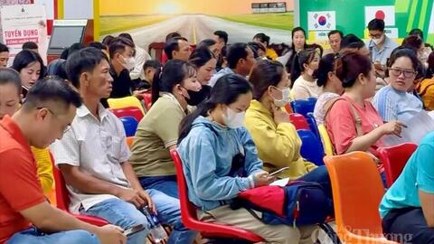 Cần Thơ: Doanh nghiệp thiếu lao động giữa lúc đơn hàng phục hồi