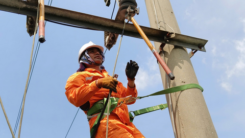 Điện lực Hải Phòng tăng cường giải pháp chống quá tải lưới điện