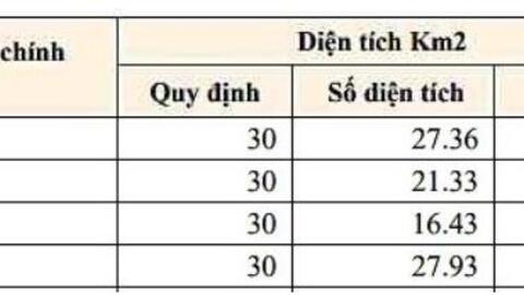 4 xã ở TPHCM dưới chuẩn diện tích, khi lên phường lại vượt chuẩn