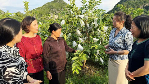 Khảo sát thực trạng phụ nữ khởi nghiệp gắn với khoa học công nghệ