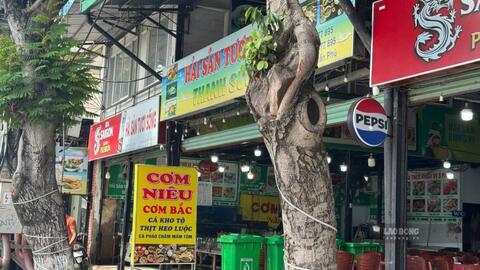 Xử phạt quán hải sản ở Nha Trang để côn trùng xâm nhập khu vực bếp