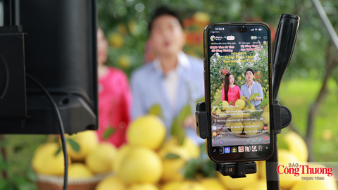 Hà Tĩnh: Đưa nông sản OCOP vươn xa qua phiên Mega Live