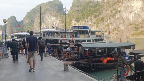 Chủ tàu vịnh Hạ Long bắt tay nhau, “cò” du lịch hết đất sống