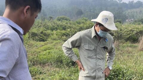 Đắk Nông: Xử phạt trang trại chăn nuôi heo gần 500 triệu đồng