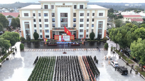 Đắk Lắk triệt phá nhiều đường dây tội phạm kinh tế