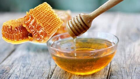 EU, Hoa Kỳ, Hàn Quốc đồng loạt cập nhật quy định SPS