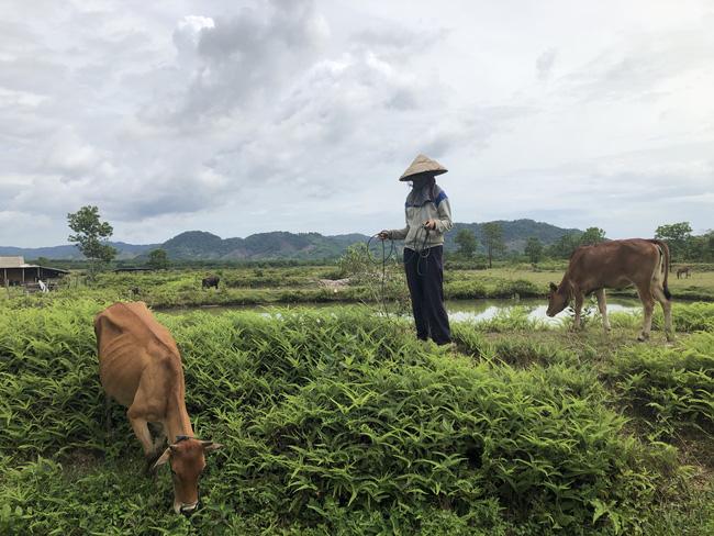 Thừa Thiên Huế: Bàn giải pháp Giảm nghèo và An sinh xã hội bền vững giai đoạn 2021-2025 - Ảnh 2. Thừa Thiên Huế: Bàn giải pháp Giảm nghèo và An sinh xã hội bền vững giai đoạn 2021-2025 - Ảnh 2.