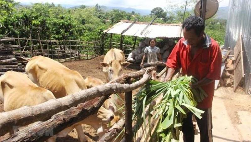 Tiêu chí xác định dân tộc còn gặp nhiều khó khăn, có yếu tố đặc thù