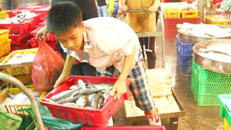 Lạm dụng lao động trẻ em: Làm gì để xóa bỏ tận gốc?
