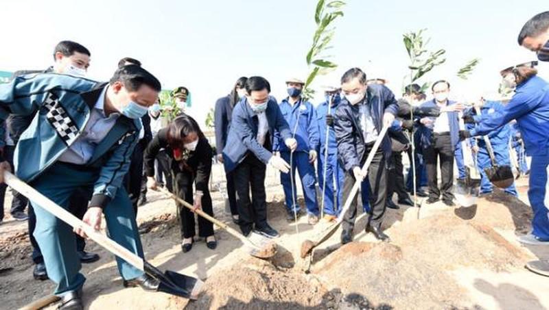 Phấn đấu mỗi người dân Thủ đô trồng một cây xanh