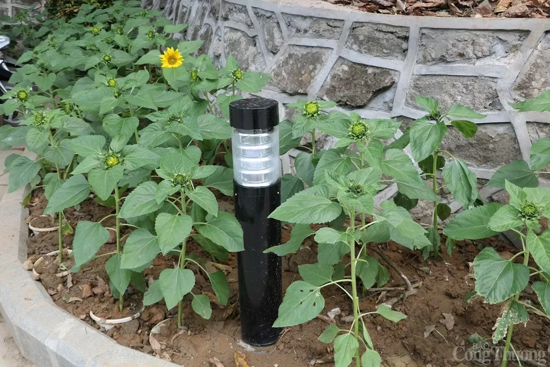 Đền Hùng thay đổi thế nào trước ngày Giỗ tổ Hùng Vương? Cảnh quan Đền Hùng trước ngày Giỗ Tổ Hùng Vương