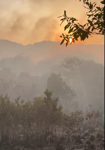 Diện tích bị cháy hiện chưa thống kê được, lực lượng chức năng vẫn đang điều tra, làm rõ. Ảnh: Thành ủy Phú Quốc