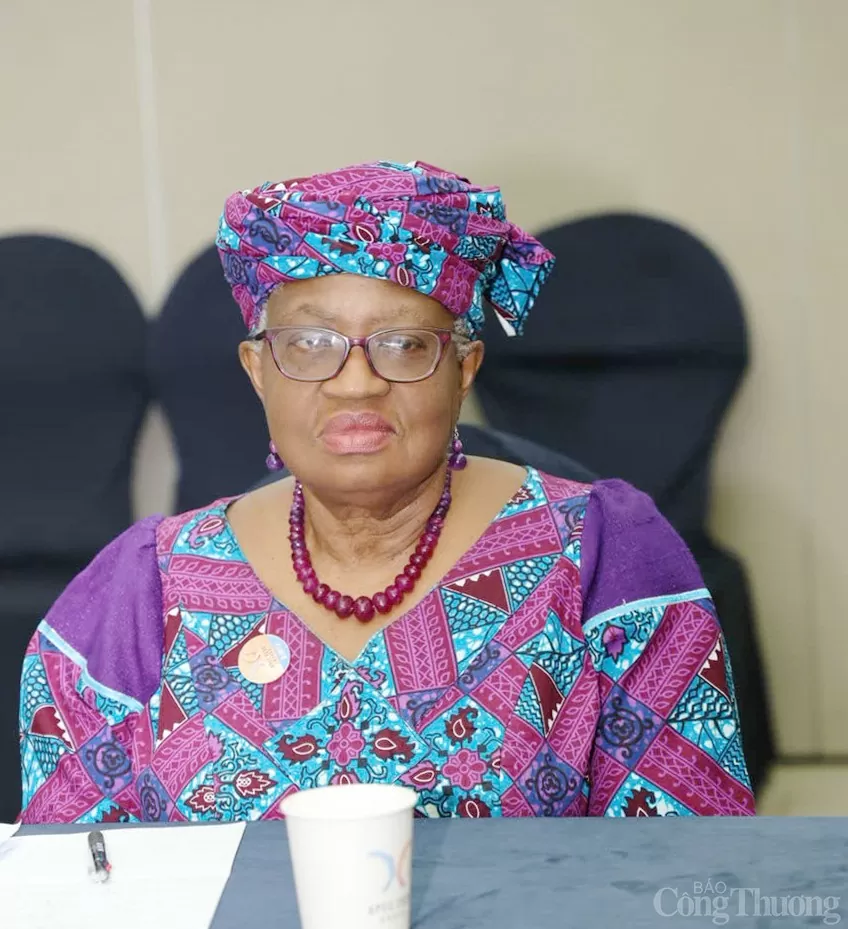 Bộ trưởng Nguyễn Hồng Diên họp song phương với Tổng giám đốc WTO Ngozi Okonjo - Iweala
