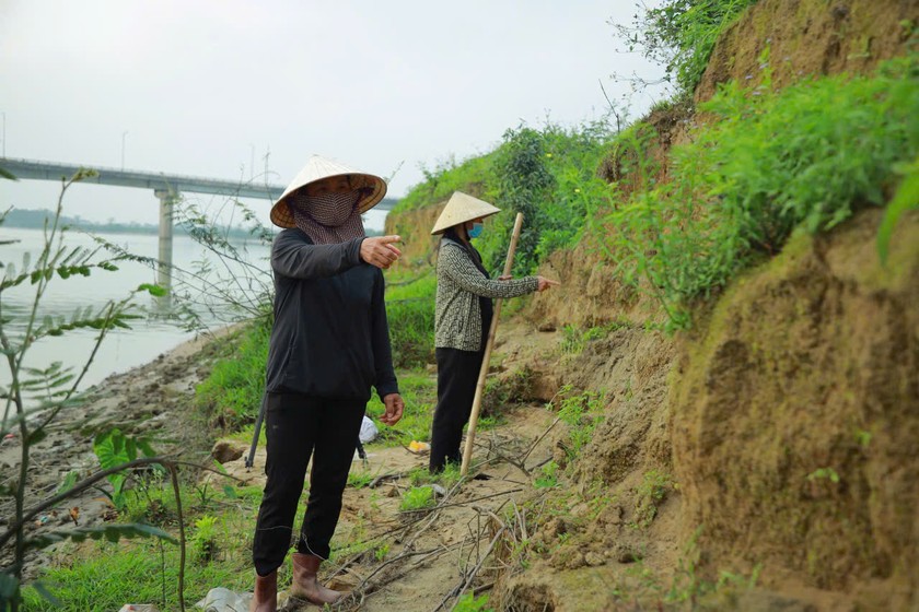 Người nông dân xóm Tân Long, xã Long Xá, huyện Hưng Nguyên lo lắng trước tình trạng sạt lở đất tại bờ sông Lam. (Ảnh trong bài: PV)