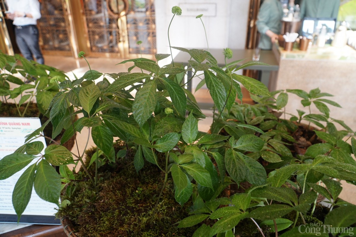 Bài 3: Doanh nghiệp cam kết đồng hành