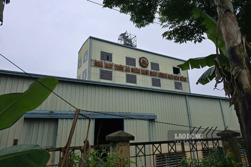Nhà máy thức ăn chăn nuôi là nguồn cơn khiến doanh nghiệp rơi vào vòng xoáy nợ nần. Ảnh: Tân Văn