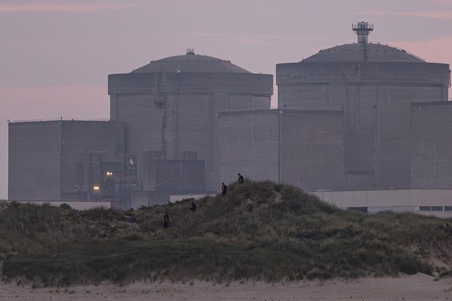 Loài sứa xâm lăng khiến nhà máy điện hạt nhân lớn ở châu Âu tê liệt