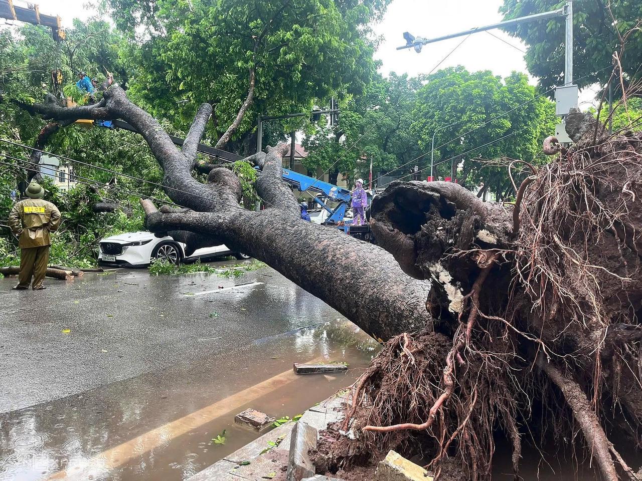 Người trong xe được đưa ra an toàn, nhưng xe bị biến dạng, hư hại nặng.