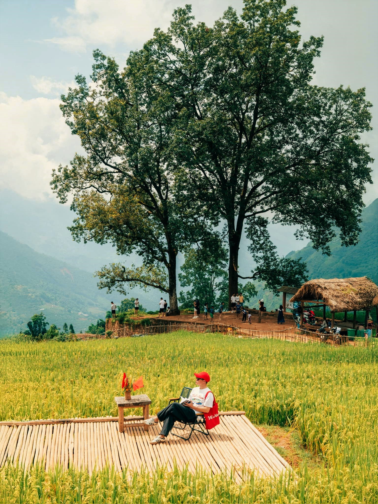 Vẻ đẹp mơ màng, yên bình ngay gần “công viên Choản Thèn” ở Y Tý. Địa điểm có hai cây cổ thụ đằng xa chính là nơi săn mây đẹp nhất nhì khu vực này. Để đáp ứng nhu cầu check-in của du khách, Y Tý cũng xuất hiện các địa điểm cà phê, nghỉ chân, chụp ảnh.