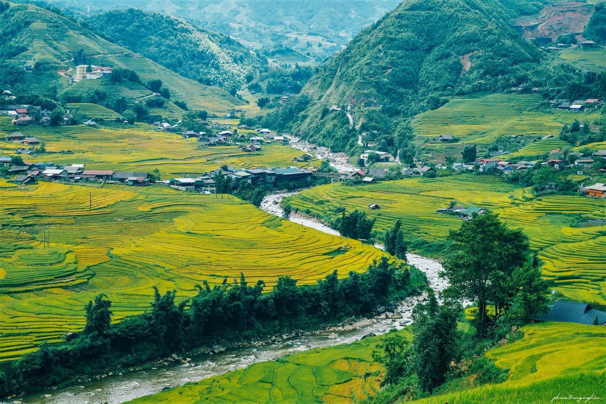 Phong cảnh bản Tả Van với dòng suối Mường Hoa vào đầu mùa lúa chín đẹp như tranh vẽ.