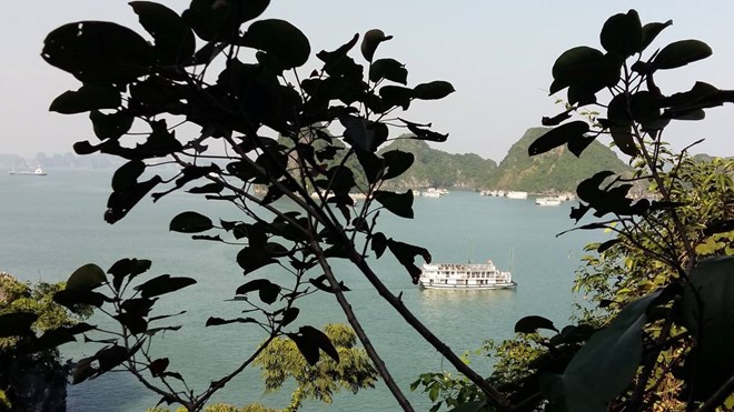 Quảng Ninh dừng cấp lệnh tàu ra biển do ảnh hưởng bão số 9