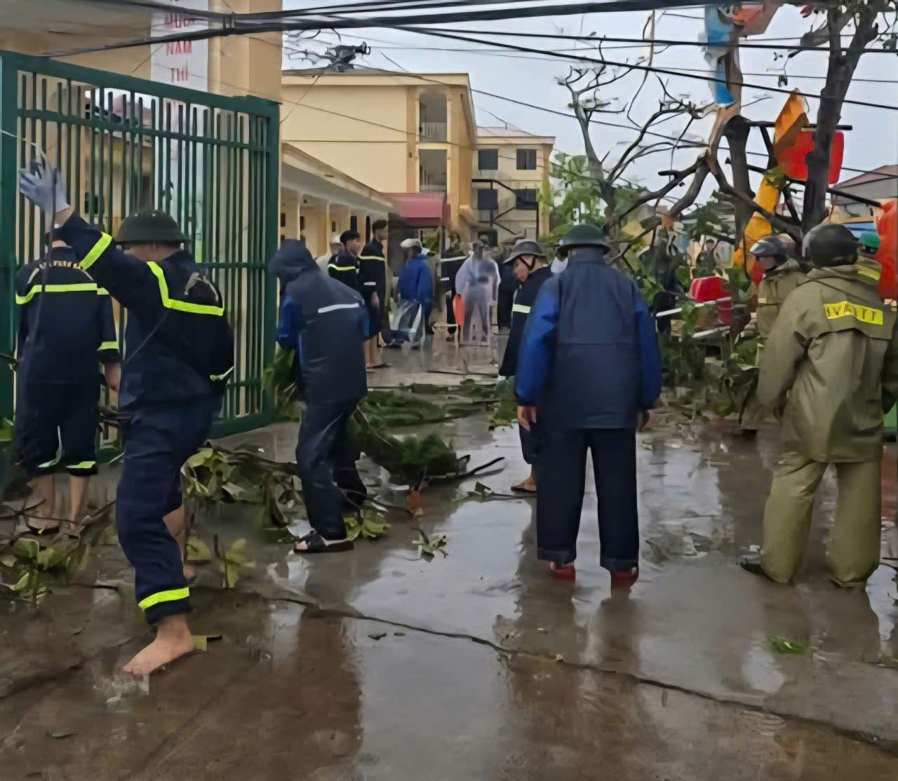 Lực lượng chức năng tỉnh Ninh Bình dọn dẹp cây đổ. Ảnh: Nguyễn Trường