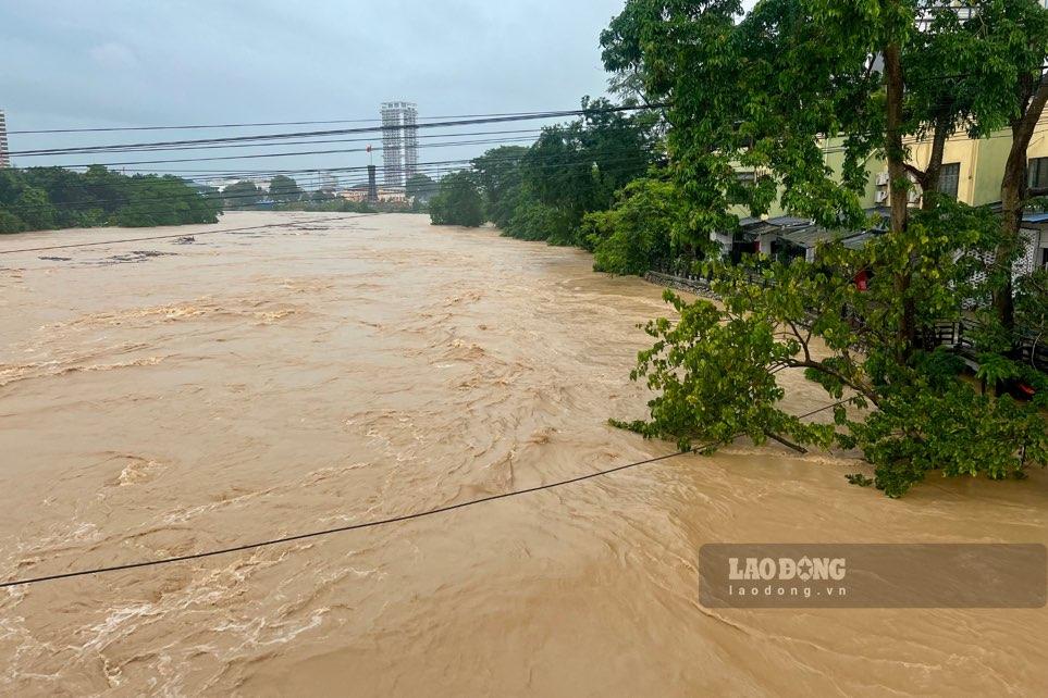 Mực nước sông Cầu dâng cao. Ảnh: Việt Bắc