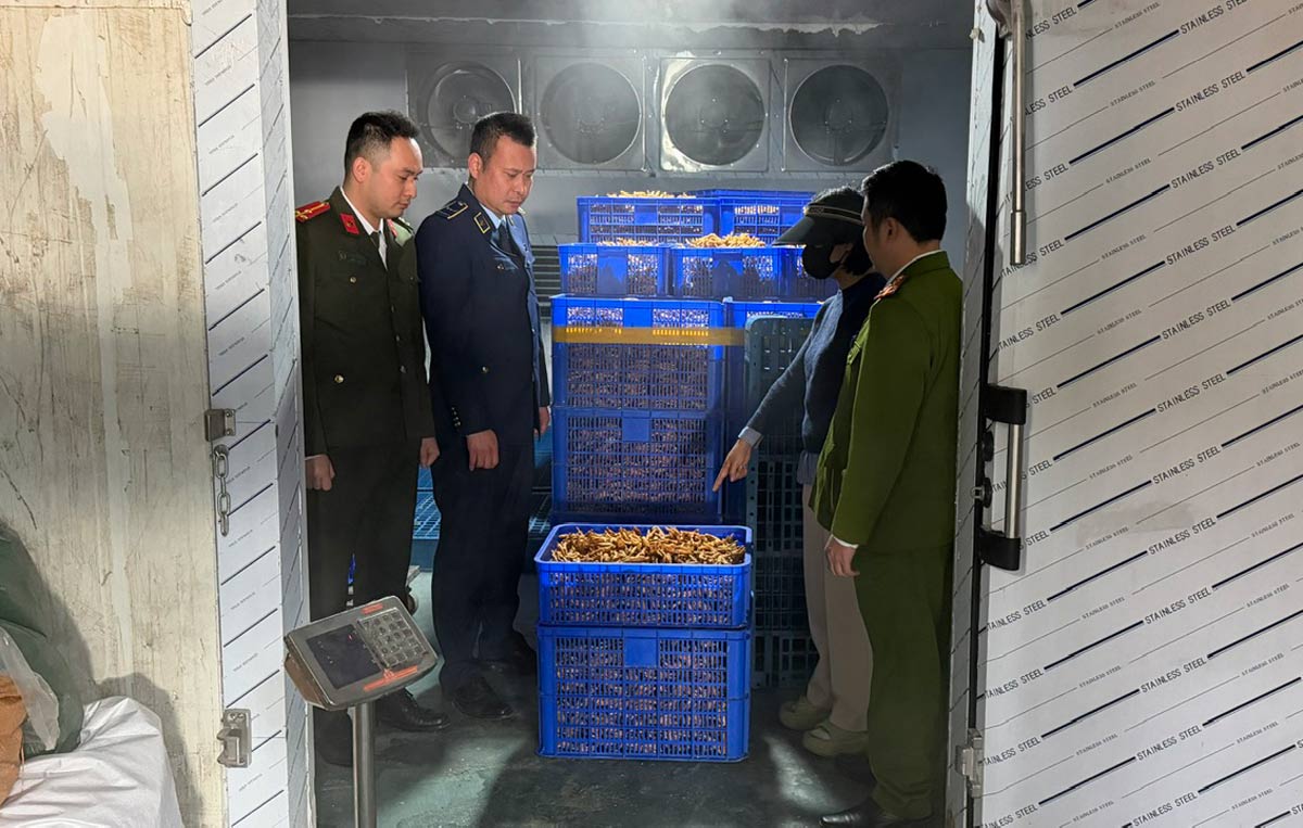 Khám kho hàng tại khu Bình Ngọc, Phường Móng Cái 1, tỉnh Quảng Ninh, phát hiện hơn 6 tấn chân gà không rõ nguồn gốc. Ảnh: Chi cục QLTT Quảng Ninh