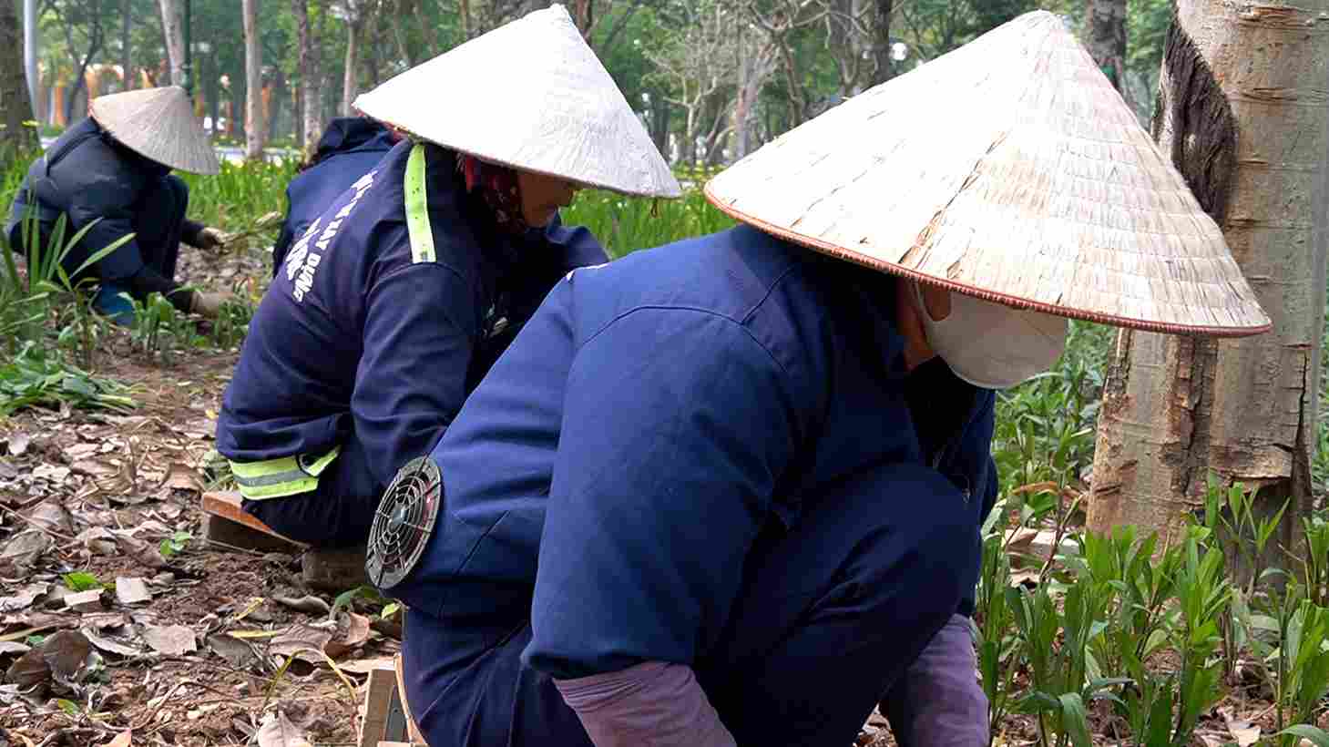 Bác sĩ khuyến nghị, đối với người lao động ngoài trời, cần mặc quần áo bảo hộ dài tay, che kín da, đội mũ rộng vành và bố trí thời gian nghỉ phù hợp.