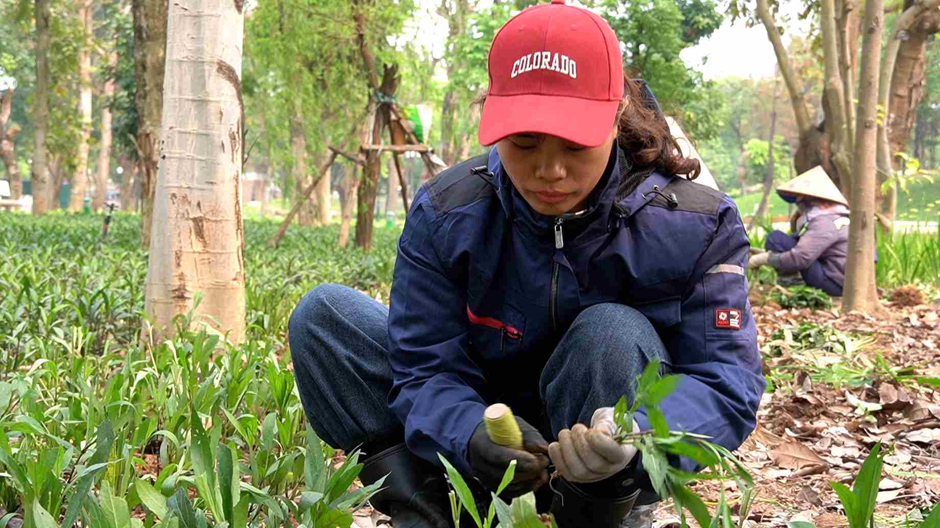 Làm việc liên tục, tiếp xúc với nền nhiệt cao trong thời gian dài khiến chị Tâm phải trang bị áo điều hoà dài tay và mũ. Ảnh: Hạnh Thơm