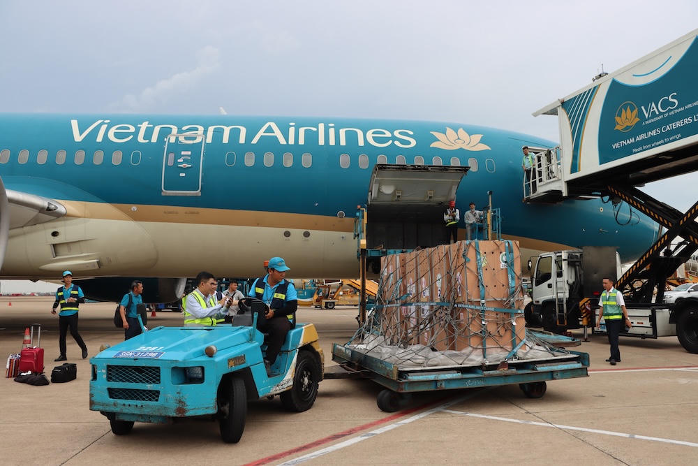 Đàn sếu được vận chuyển bằng đường hàng không đến Việt Nam (Ảnh: dongthap.gov.vn)