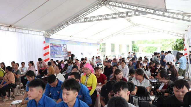 Phú Thọ tăng cường các giải pháp giải quyết việc làm cho lao động năm 2026