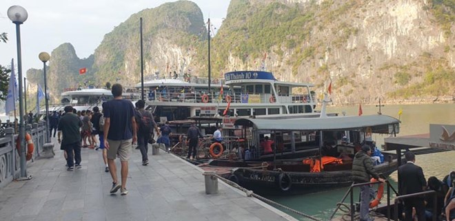 Chủ tàu vịnh Hạ Long bắt tay nhau, “cò” du lịch hết đất sống
