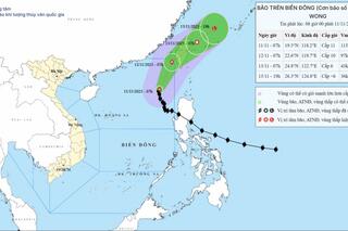 <a href="/trai-dat-xanh" title="Môi trường" rel="dofollow">Môi trường</a>