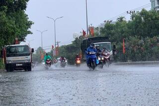 <a href="/trai-dat-xanh" title="Môi trường" rel="dofollow">Môi trường</a>