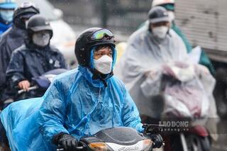 <a href="/trai-dat-xanh" title="Môi trường" rel="dofollow">Môi trường</a>