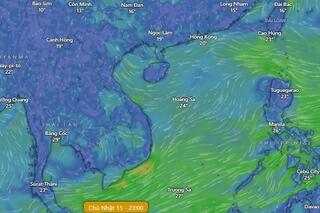 <a href="/trai-dat-xanh" title="Môi trường" rel="dofollow">Môi trường</a>