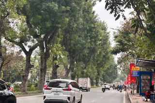 <a href="/trai-dat-xanh" title="Môi trường" rel="dofollow">Môi trường</a>