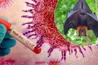 <a href="/y-te" title="Y tế" rel="dofollow">Y tế</a>