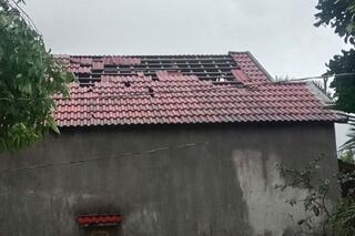 <a href="/trai-dat-xanh" title="Môi trường" rel="dofollow">Môi trường</a>