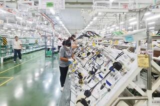 <a href="/lao-dong" title="Lao động" rel="dofollow">Lao động</a>