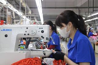 <a href="/lao-dong" title="Lao động" rel="dofollow">Lao động</a>