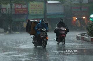 <a href="/trai-dat-xanh" title="Môi trường" rel="dofollow">Môi trường</a>