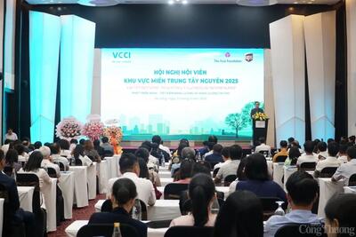Tin xem nhiều