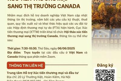 Tin xem nhiều