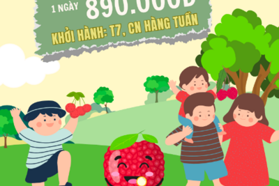 Tin xem nhiều