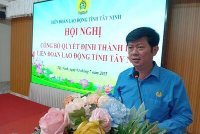 Tin xem nhiều