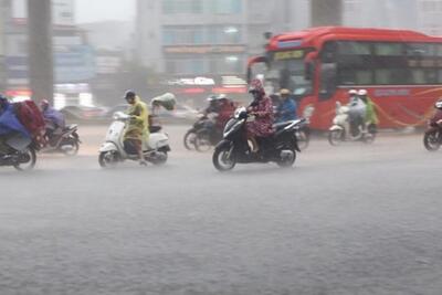 Tin xem nhiều