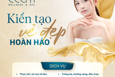 Tin xem nhiều
